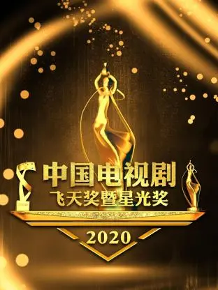 《中国电视剧飞天奖暨星光奖2020》全集高清完整版在线观看与剧情解析