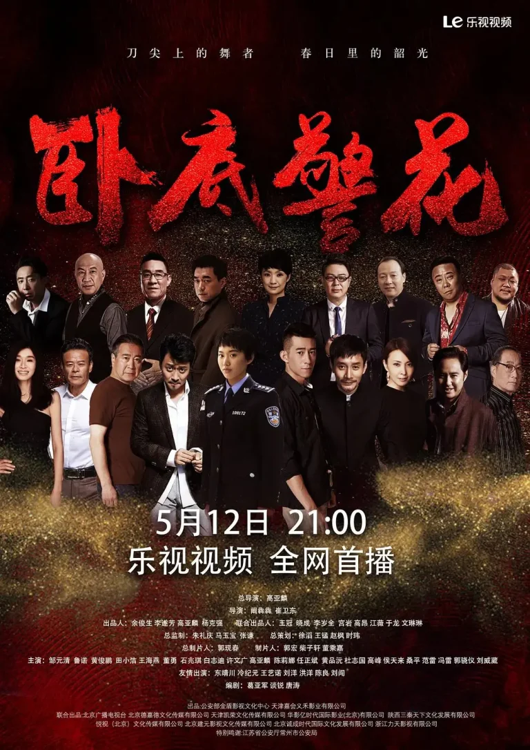 《卧底警花》全集高清完整版在线观看与剧情解析