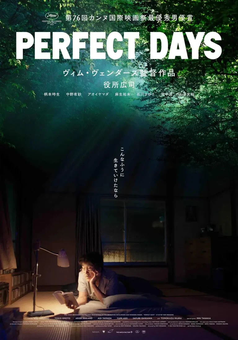 《完美的日子》全集高清完整版在线观看与剧情解析