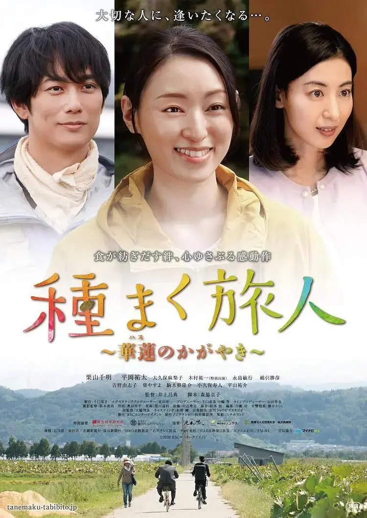 《播种的旅人 华莲的光辉》全集高清完整版在线观看与剧情解析