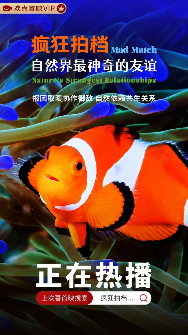 《疯狂拍档：自然界最神奇的友谊》全集高清完整版在线观看与剧情解析