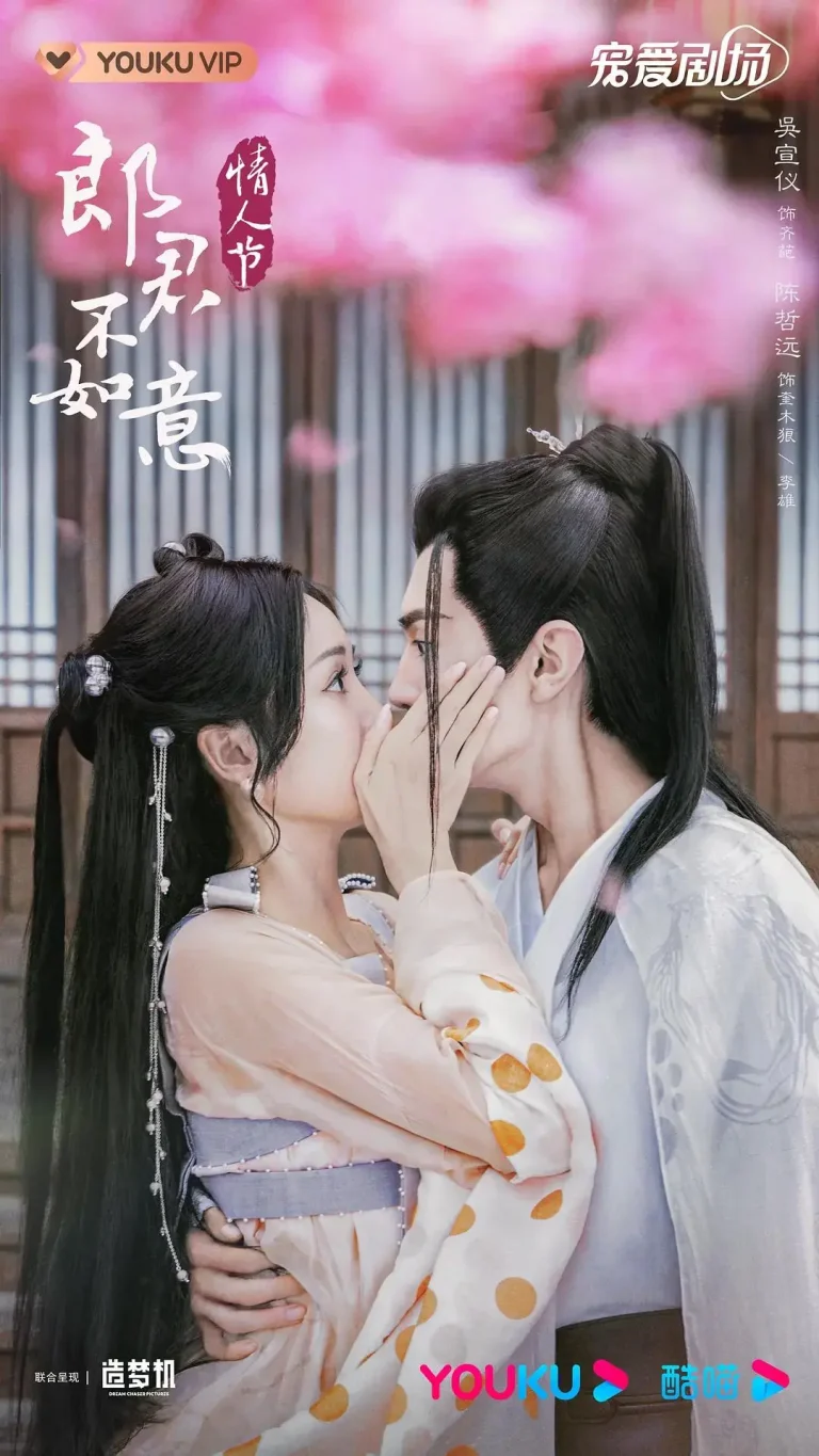 《郎君不如意》全集高清完整版在线观看与剧情解析