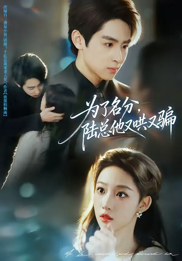 《为了名分,陆总他又哄又骗》全集高清完整版在线观看与剧情解析